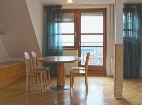 Spacious flat with terraces, Prague 7 – Troja