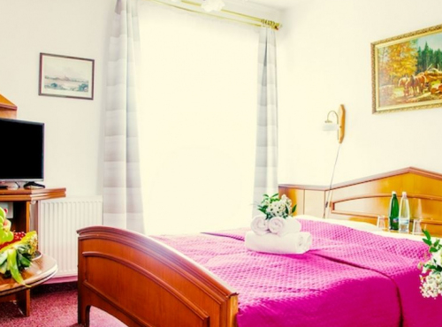Romantický hotel s wellness - Velká Hleďsebe u Mariánských Lázní