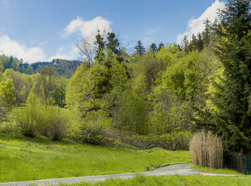 Plot for the construction of family house, Pstruží, Beskydy