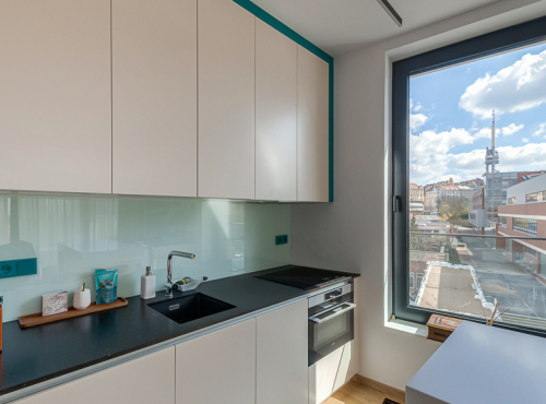 One-bedroom apartment with terrace, Prague 2 - Vinohrady