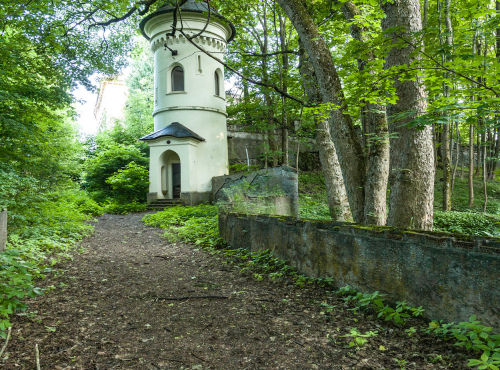 Zámek s pozemky a projektem, Královéhradecký kraj - Žacléř