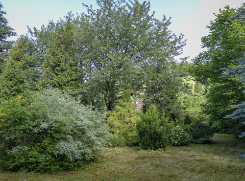 Building plot with fully grown garden, Nespeky - Benešov