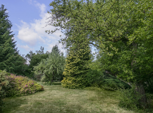 Building plot with fully grown garden, Nespeky - Benešov