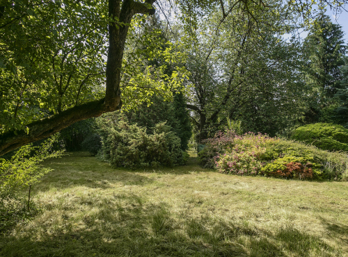 Building plot with fully grown garden, Nespeky - Benešov