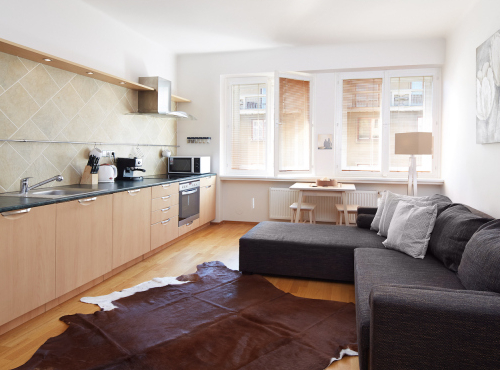 2+kk apartment in the historic center, Prague 1 - Petrská čtvrť