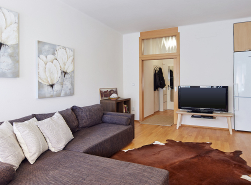 2+kk apartment in the historic center, Prague 1 - Petrská čtvrť