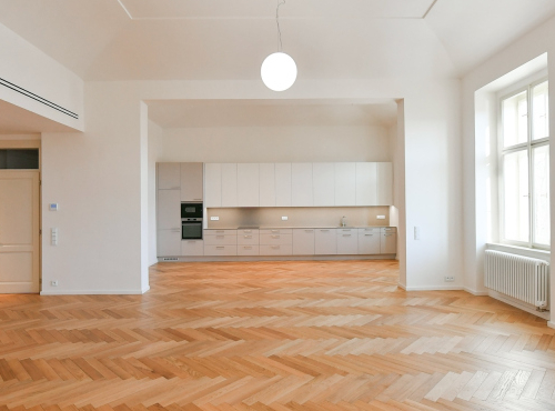 Spacious two-bedroom apartment, Prague 5 - Janáčkovo nábřeží