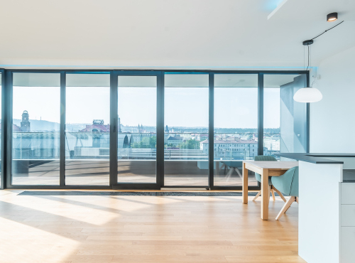 Bright 3+kk apartment with terrace, Prague 2 - Vinohrady