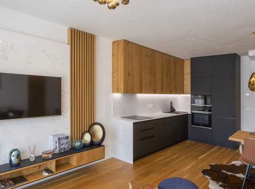 Apartmán 1+kk, Jihočeský kraj - Lipno nad Vltavou