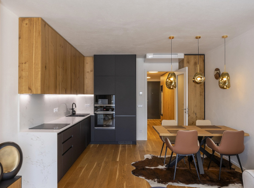 Apartmán 1+kk, Jihočeský kraj - Lipno nad Vltavou